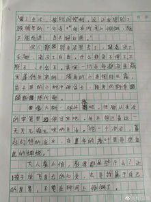 關于吶喊的作文(關于吶喊作文)