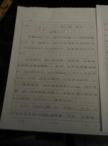 難忘的微笑作文開(kāi)頭200字