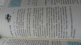 發(fā)現生活中的道理五級作文開(kāi)頭