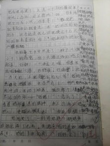 愛(ài)的作文開(kāi)頭優(yōu)秀作文