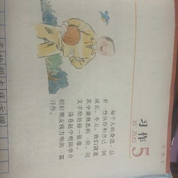 如何寫贊美同學的作文開頭