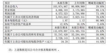 財(cái)務(wù)運(yùn)營(yíng)情況說(shuō)明(財(cái)務(wù)年報(bào)情況說(shuō)明)
