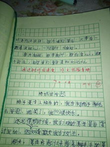 四級作文精彩開頭結尾練筆