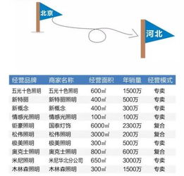 品牌市場調(diào)研報告(品牌市場調(diào)研報告)