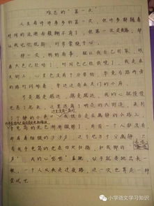 一次難忘100字作文開(kāi)頭結尾