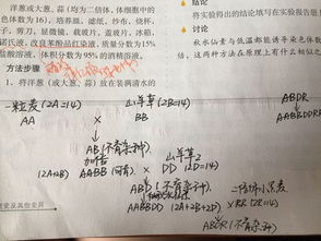 一個(gè)平常的故事600字作文開頭