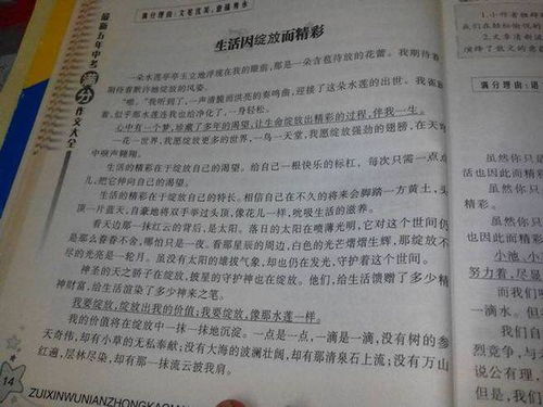 高中以收獲為題作文600字作文開頭和結尾
