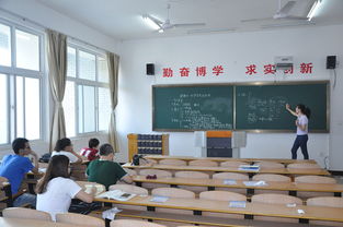 化學(xué)教育實習(xí)調(diào)查報告()