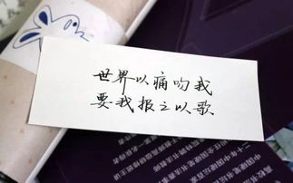 世界以痛吻我要我報(bào)之以歌作文開頭