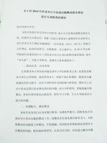 經(jīng)濟(jì)責(zé)任審計(jì)整改報(bào)告(經(jīng)濟(jì)責(zé)任審計(jì)整改情況報(bào)告)