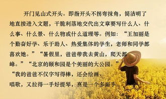 怎么寫(xiě)盼望作文開(kāi)頭