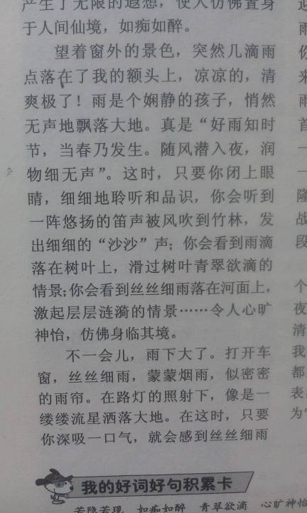 四級(jí)描寫雨景的作文開頭