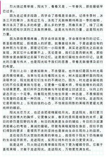 令人溫暖的陽(yáng)光800作文開(kāi)頭