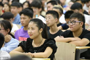 社會新聞類實踐報告總結(學生社會實踐總結報告、社會實踐總結報告)