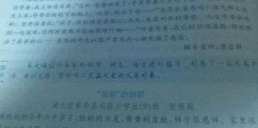 與父親的難忘事情100字作文開(kāi)頭結(jié)尾