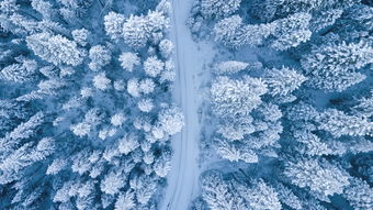 晚來的雪(晚雪)
