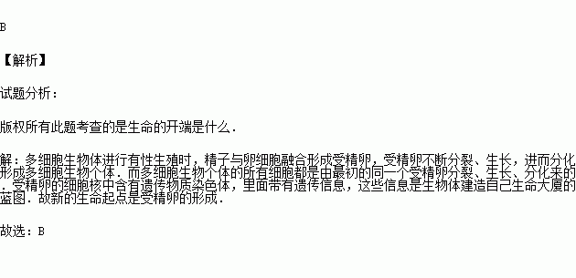 時(shí)間就是生命作文開(kāi)頭