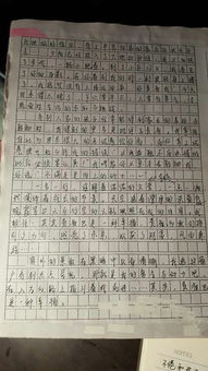 關(guān)于牽動感情的作文開頭