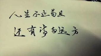 詩(shī)和遠(yuǎn)方作文開(kāi)頭