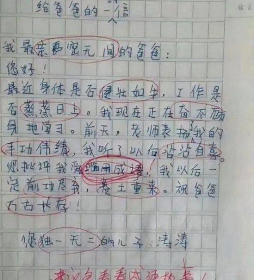 開(kāi)頭用古詩(shī)的作文
