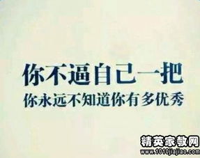 環(huán)保問題寒假社會實踐報告范文( 環(huán)保問題寒假社會實踐報告范文)