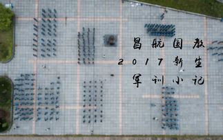 軍訓(xùn)小記作文開(kāi)頭