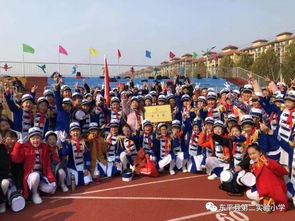 實驗小學體衛(wèi)藝工作總結(體衛(wèi)藝工作總結)