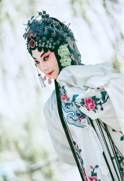對歷史人物說(shuō)的作文開(kāi)頭