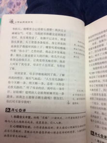 小學(xué)作文開(kāi)頭設置懸念例子