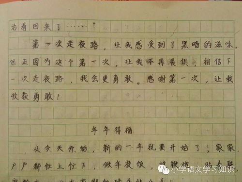 難忘那次考試作文開(kāi)頭怎么寫(xiě)