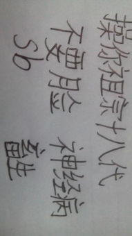 我有一個(gè)小伙伴的作文開(kāi)頭結尾
