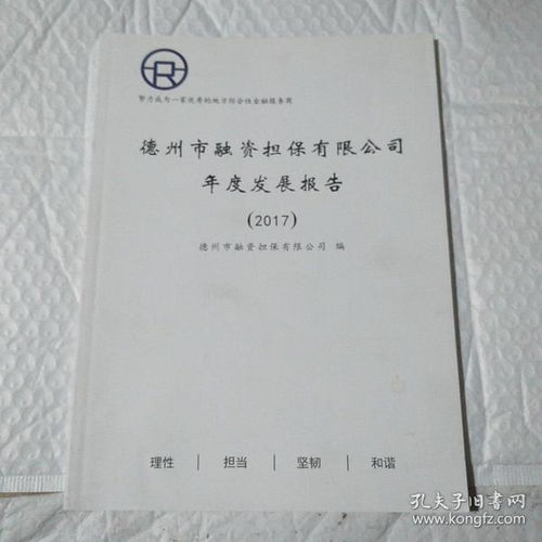 擔保公司年度總結報告(投資擔保公司年度年終工作總結報告)
