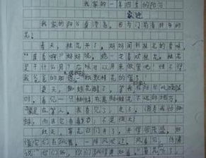 作文開(kāi)頭寫(xiě)景的記敘文