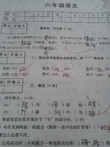 關(guān)于期中考試反思作文的開(kāi)頭