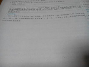 不理解作文450字作文開(kāi)頭