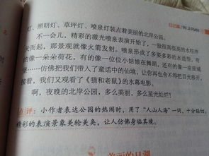善良令我如此美麗作文開(kāi)頭