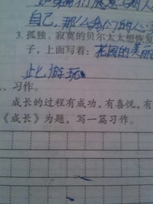以咀嚼成長作文開頭結尾