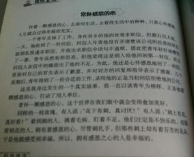 以革命先烈為主題的作文開(kāi)頭