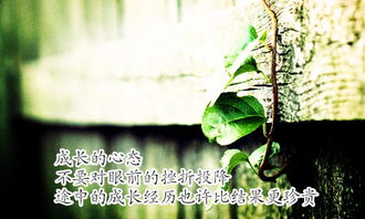 初一成長(zhǎng)的作文開(kāi)頭結(jié)尾