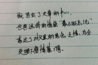 父親背影為主題的作文開(kāi)頭