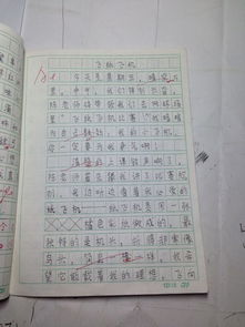 怎樣寫難忘的事作文的開頭