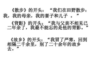 第一次獲獎(jiǎng)作文開(kāi)頭結(jié)尾