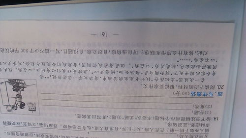 優(yōu)秀作文開(kāi)頭主題