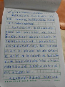 有趣的運動(dòng)會(huì )作文二級開(kāi)頭