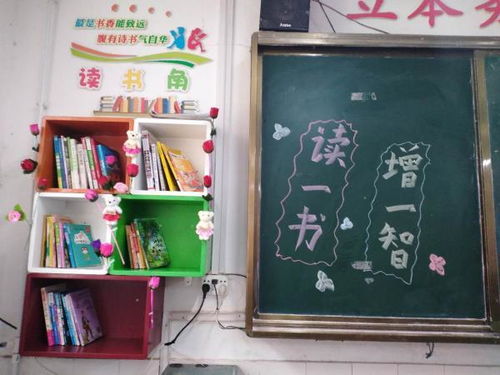 小學(xué)圖書(shū)角閱讀方案(圖書(shū)角小學(xué)作文)