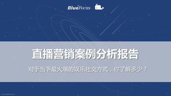 營(yíng)銷(xiāo)案例分析報告(紅牛營(yíng)銷(xiāo)案例分析報告)