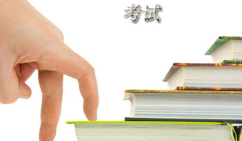 作文考試中的酸甜苦辣開(kāi)頭