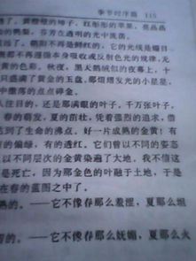 這次我沒(méi)有錯過(guò)秋天作文開(kāi)頭