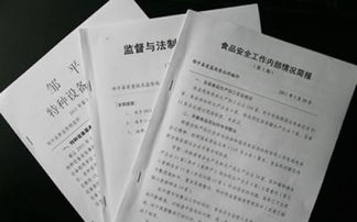 傳媒公司總結報告以及自查報告范文()