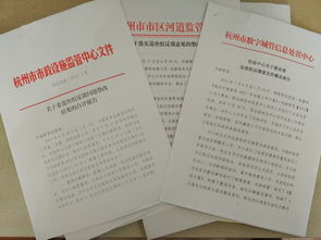 巡視整改工作自查報(bào)告(落實(shí)巡視整改工作總結(jié))